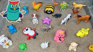 Animal Sizes for Toddlers: Learn Small Pets and Big Wild Animals | Educational Kids Video