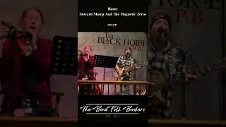 Home cover by the BirdFolk Buskers.   #livemusic #music #cover #live #fyp #ontario #canada