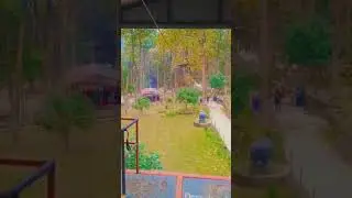 cycle adventure #tranding #travel