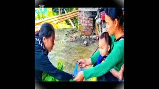 Daily Life of a Single Mother with Twin Babies | Farm Work and Care