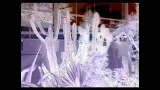 Vague Perception -traffic eyes.