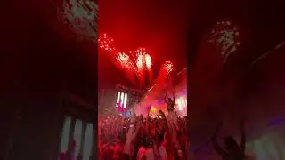 When the BEAT Drops, it feels so GOOD - Electronic Paradise with Zedd