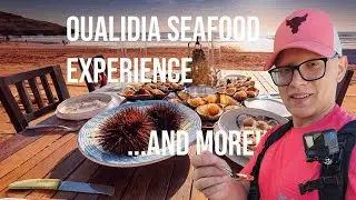 Oualidia's Seafood Delights 🇲🇦 - Oysters and More - مشينا الواليدية.. آجيو نشوفو