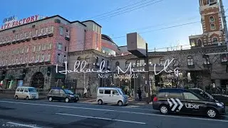 Hokkaido Mini Vlog | Late Autumn 2025