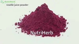 roselle juice powder