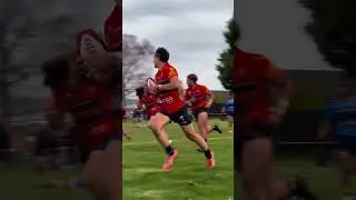 JACKSON STEWART HIGHLIGHTS