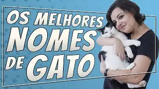Escolhendo Nomes para Gatos | Pode Revelar Sua Personalidade