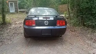 2006 Mustang - Southern California Special I  bought from a salvage auction