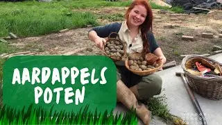 AARDAPPELS POTEN | Verschillende Aardappels?!