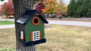 Kingsyard Birdhouse REVIEW