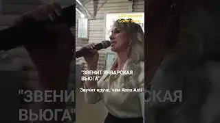 #musik #musikcover #звенитянварскаявьюга #happynewyear #shorts