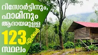 Land For Sale In Wayanad | Suitable For Farm, Resorts | Manathavady