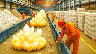 C&Oacute;MO se FABRICAN MILES de PLACAS de CUARZO | PROCESO INDUSTRIAL