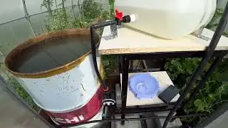Дачный автополив и первая ягода