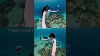 taking diving with Insta360 X5 to the Pro level!