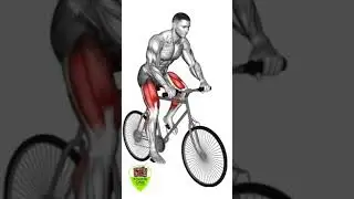 GROW GLUTES FAST