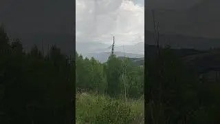 655 Elk Ct South Fork Colorado Mountain Land for Sale