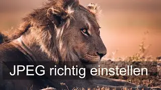 Fotografieren lernen 📸 JPG / JPEG in der Kamera richtig einstellen