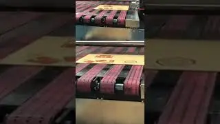 Corrugated Digital Printer