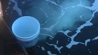 OCD __Ocean Cleaning Drain