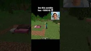 Minecraft Zombie Moment