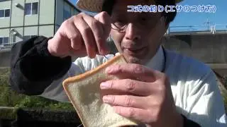 589本舗　コイ釣り講座　第11回