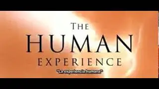 La experiencia humana Completa
