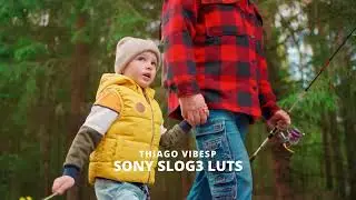 No More Color Grading Stress &ndash; 2-in-1 S-Log3 LUTs for Sony (Easy Rec.709)