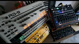 RD-9, TD-3, Drumbrute Impact and a Crave !