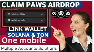 Paws One mobile Multiple Phantom Wallet Connect Problem sulotion