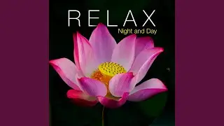 Zen Music