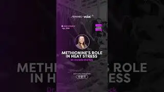 Dr. Danielle Sherlock: Methionine's Role in Heat Stress | Ep. 24
