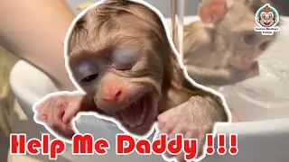 Little Monkeys Take A Bath With Dad | Curious Monkey Family's Daily
