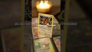 I got this Pokemon card at a thrift store - The Evening Pull 002