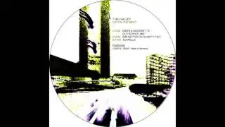 T SKI VALLEY - Catch the Beat (Bibi's Better Days Mix)