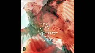 FLY SPARROW FLY - ZamuRi Music (Official Audio 2025)