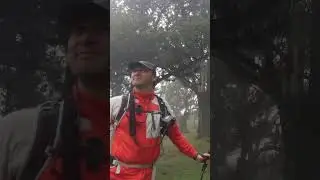 Madeira, lost in time with 500 years old trees