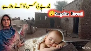 New Baby Kis Ka Hai | Iam Pregnent ? Surprised Reveal | Pure Mud House In Village | Village Life.