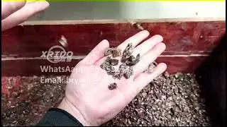 Latest physical method ac radiator recycling machine radiator waste recycling plant