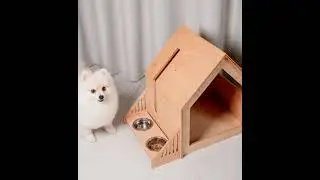 A Different Level.... ❤️ #dogs #epten #dog #cats #pets #puppylove #DogLovers #cats #catlovers #decor