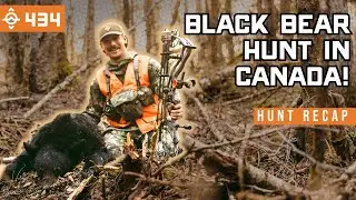 BLACK BEAR Hunting in CANADA - Hunt Recap!
