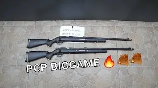 Senapan angin PCP big game buat basmi hama 