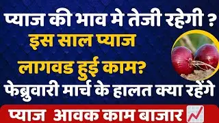 📢 प्याज बाजार भाव में तेजी | 10 दिन बाद भाव सुधरेंगे | आवक घटी | अगले महीने बड़ा अपडेट 📈