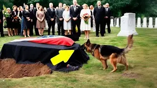 Police Dog Saves Officer Buried Alive&hellip; What He Did Next Will Break Your Heart 💔🐾 | True Miracle