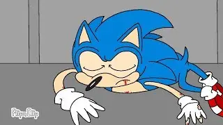 'The Sonic the Hedghog Movie'