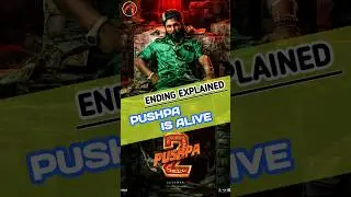 Pushpa 2 ending explained || #shorts