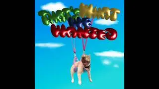 That's What We Wanted - Dogboy