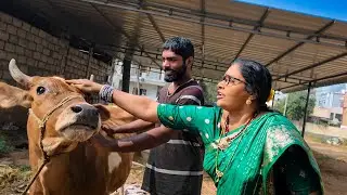 2026 lo Mana Farm lo unna Animals Tho Kanuma