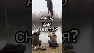 А какие сны вы видите? 😜 #сон #dream #вышеоблаков #никитаданько #тренд #trending