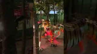 A Perfect Day Out at Sharif Dream Park & Food Cour